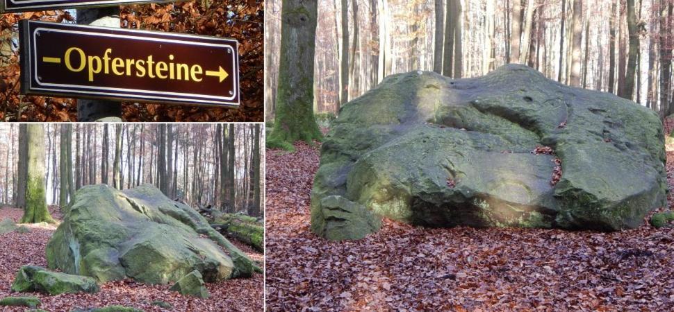 FeWo Charlotte Horn-Bad Meinberg Exteriör bild
