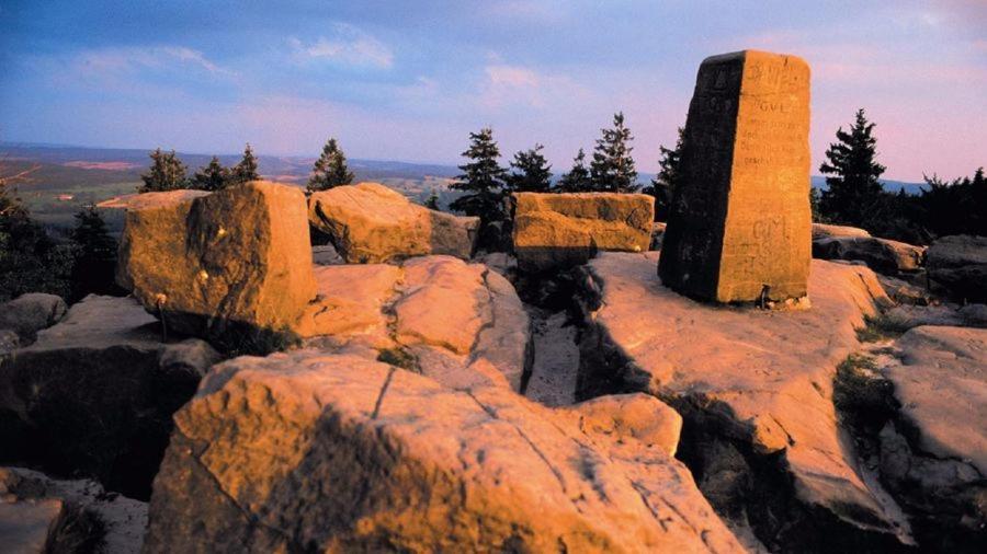 FeWo Charlotte Horn-Bad Meinberg Exteriör bild
