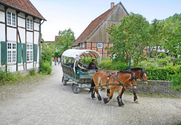 FeWo Charlotte Horn-Bad Meinberg Exteriör bild