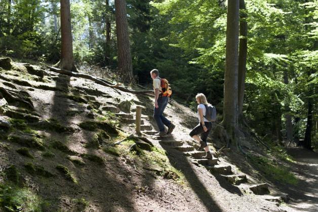 FeWo Charlotte Horn-Bad Meinberg Exteriör bild
