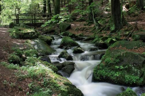 FeWo Charlotte Horn-Bad Meinberg Exteriör bild